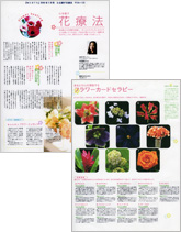 Misty 3月号 2006 Misty 3月号 2006